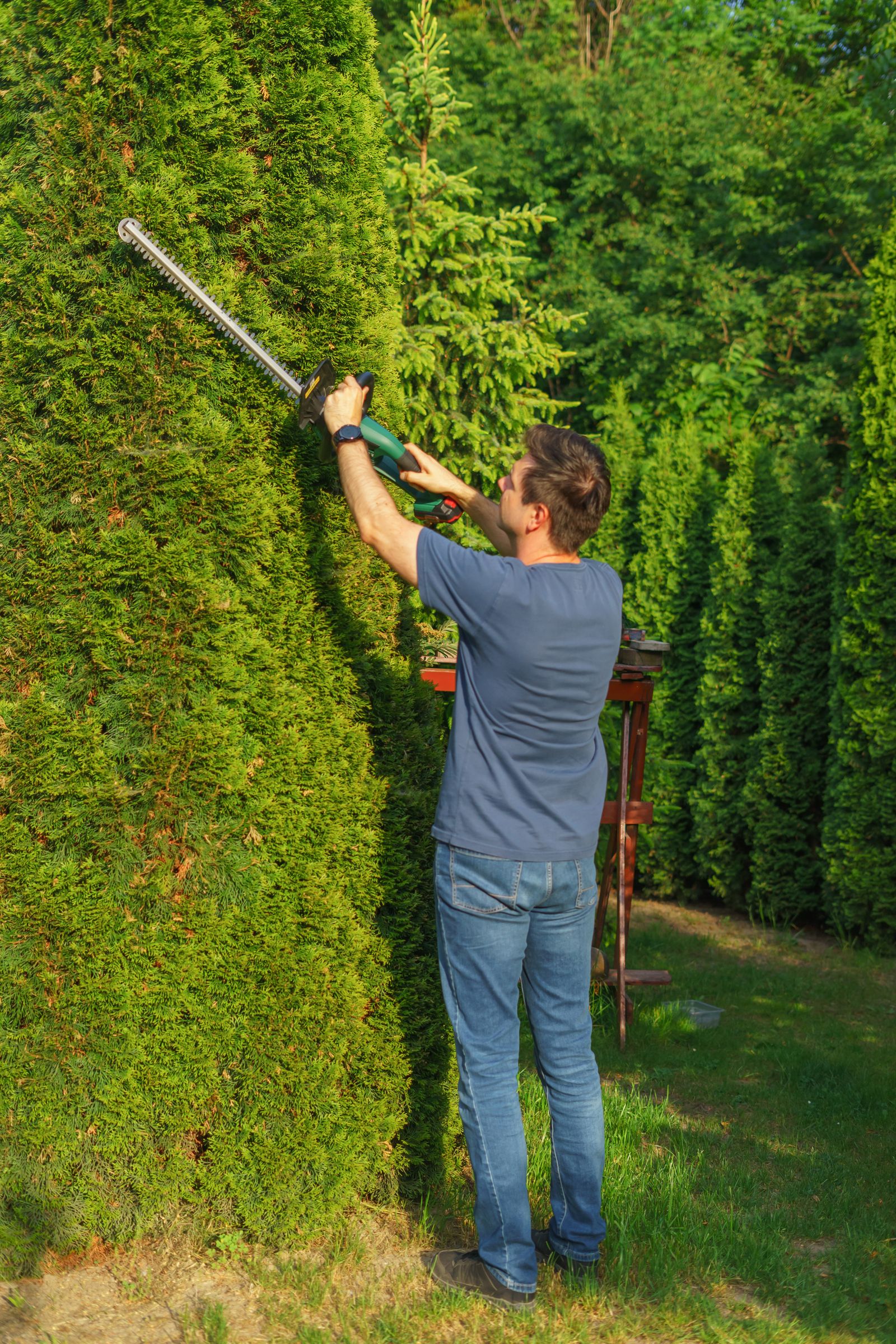 Landscaper trimming a tall hedge